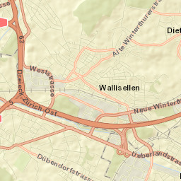 Wallisellen Street Map