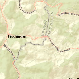 Fischingen Street Map