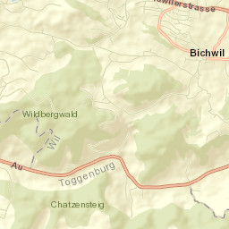 Wahlkreis Wil Street Map