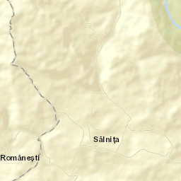 Sălnița Street Map