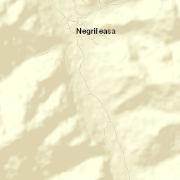 Negrileasa Street Map