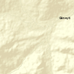Găinești Street Map