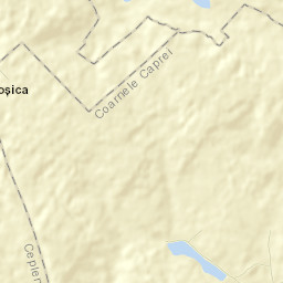 Comuna Coarnele Caprei Street Map