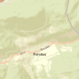 Forstau Street Map