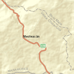 Mesteacăn Street Map