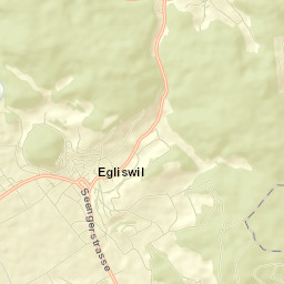 Egliswil Street Map