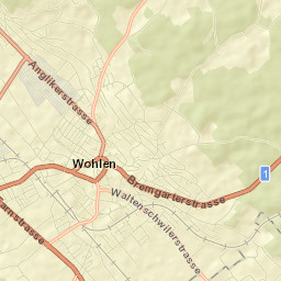 Wohlen Street Map