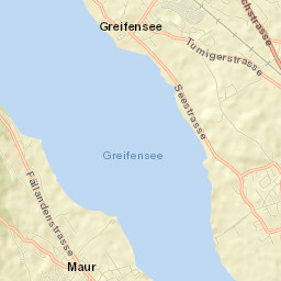 Greifensee / Pfisterhölzli Street Map