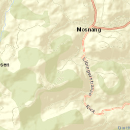 Mosnang Street Map