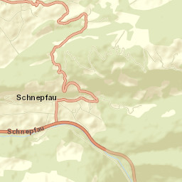 Schnepfau Street Map