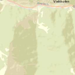 Viehhofen Street Map