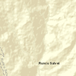 Runcu Salvei Street Map