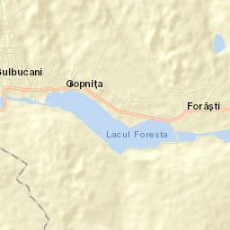 Gropniţa Street Map