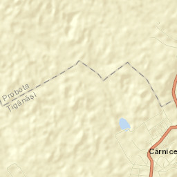 Cârniceni Street Map