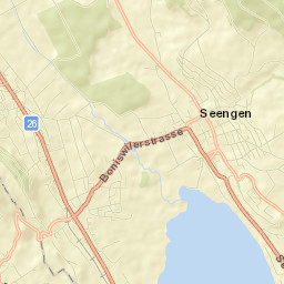 Seengen Street Map