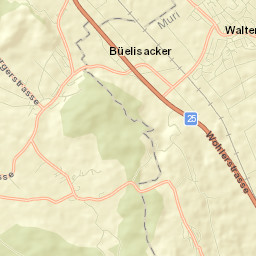 Waltenschwil Street Map