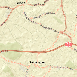 Gossau Street Map