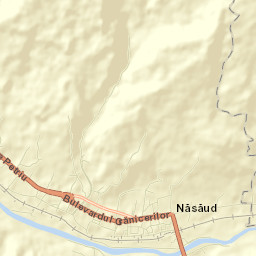 Năsăud Street Map