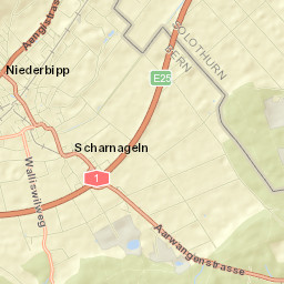 Niederbipp Street Map