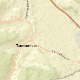 Gontenschwil Street Map