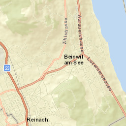 Reinach Street Map