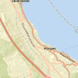 Bezirk Horgen Street Map