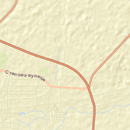 Tokmak Raion Street Map