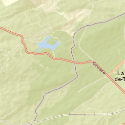 Franches-Montagnes District Street Map