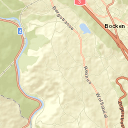 Horgen / Allmend Street Map
