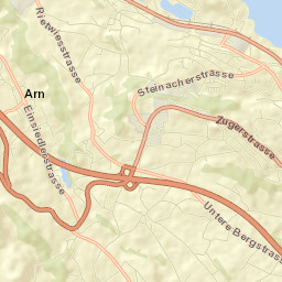Wädenswil / Hangenmoos Street Map