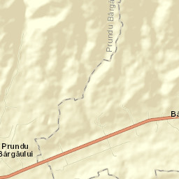 Tiha Bârgăului Street Map