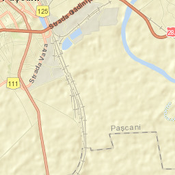Paşcani Street Map