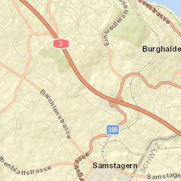 Wädenswil / Eichweid Street Map