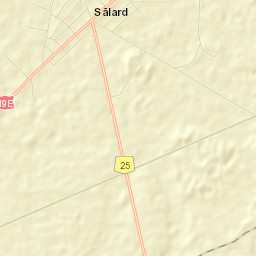 Sălard Street Map