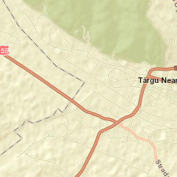 Oraş Târgu Neamţ Street Map