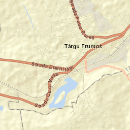 Târgu Frumos Street Map