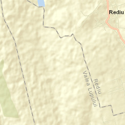 Rediu Street Map
