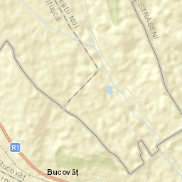 Bucovăţ Street Map