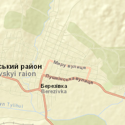 Berezivka Street Map