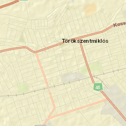 Törökszentmiklós Street Map
