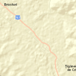 Comuna Brusturi Street Map