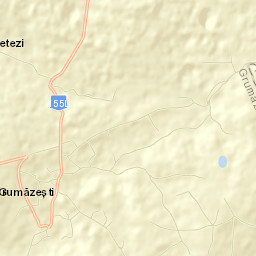 Comuna Grumăzeşti Street Map