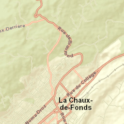 La Chaux-de-Fonds District Street Map