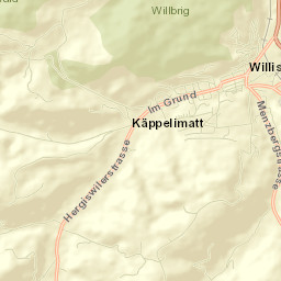Willisau Street Map