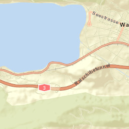 Walenstadt Street Map