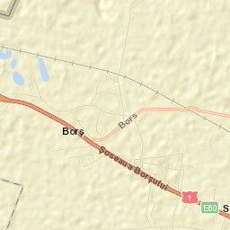 Borş Street Map