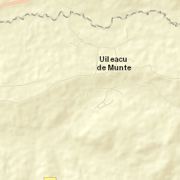 Comuna Paleu Street Map