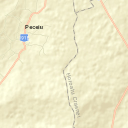 Peceiu Street Map