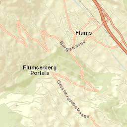 Flums Street Map