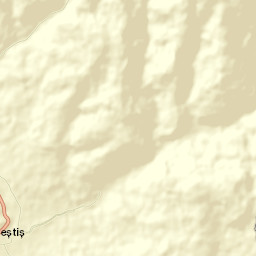 Oraș Aleşd Street Map